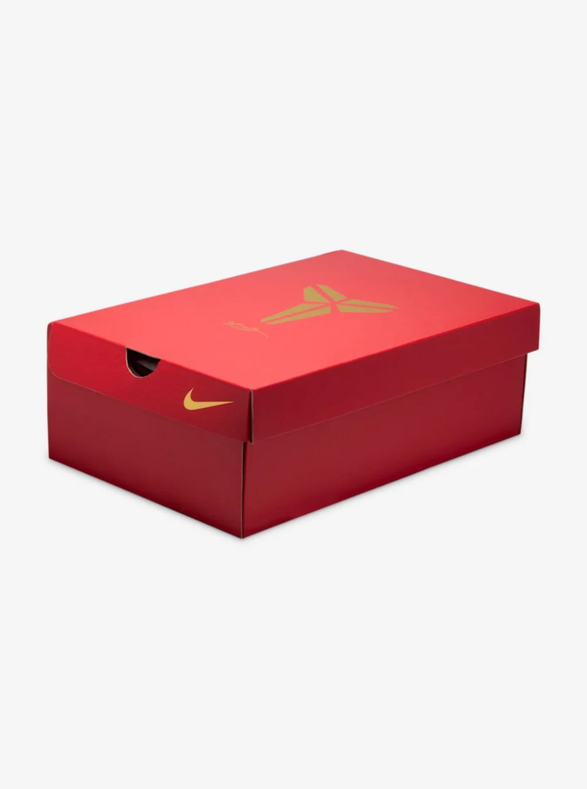 NIKE KOBE 5 PROTRO YEAR OF THE MAMBA EGGPLANT