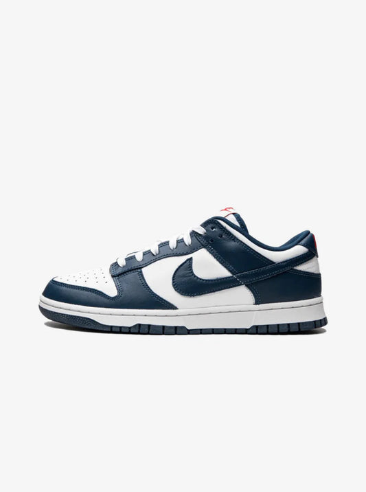 NIKE DUNK LOW VALERIAN BLUE