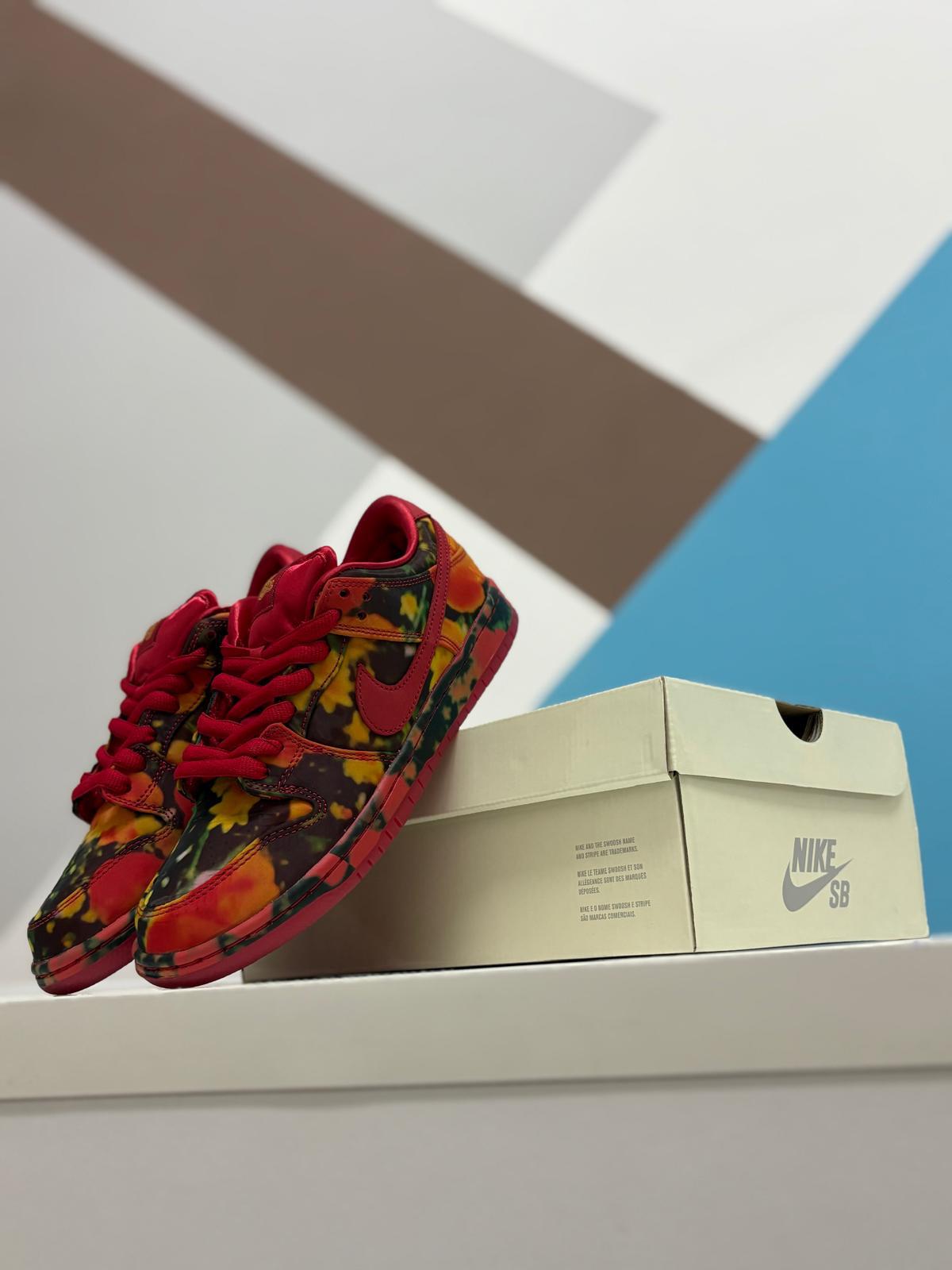 NIKE SB DUNK LOW THE WIZARD OF OZ POPPY FIELD (Offerta Lampo)